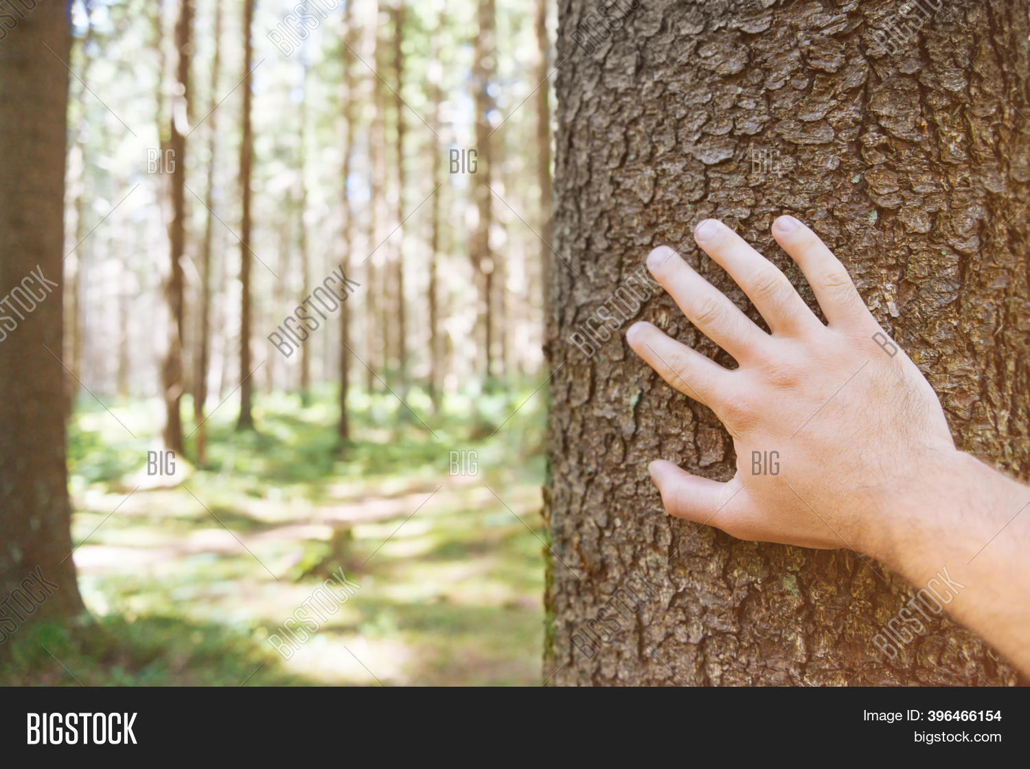 Point View Male Hand Image & Photo (Free Trial) | Bigstock