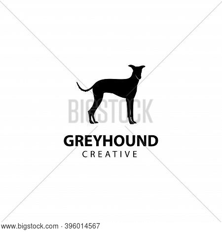 Greyhound Silhouette, Animal Design Vector Icon Illustration