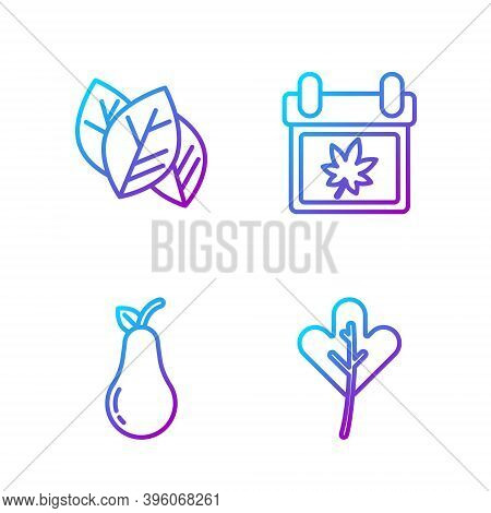 Set Line Leaf Or Leaves, Pear, Leaf Or Leaves And Calendar With Autumn Leaves. Gradient Color Icons.