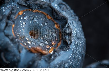 Blueberry Covered With Water Drops, Exteme Macro Background. Selective Focus