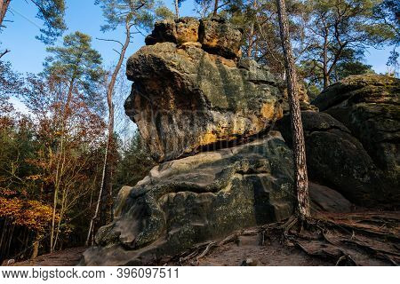 Monument Sandstone Rock Relief Snake Created By Vaclav Levy Between Libechov And Zelizy, Cliff Carvi