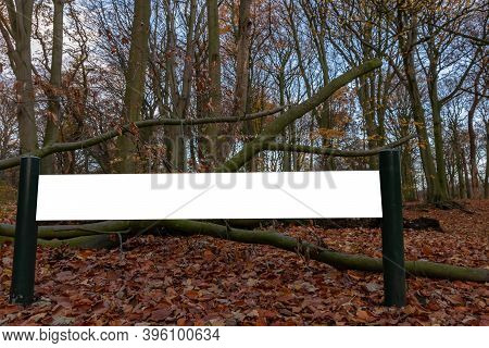 Blank Sign Board In A Park In Autumn Seasan Fall Leaves