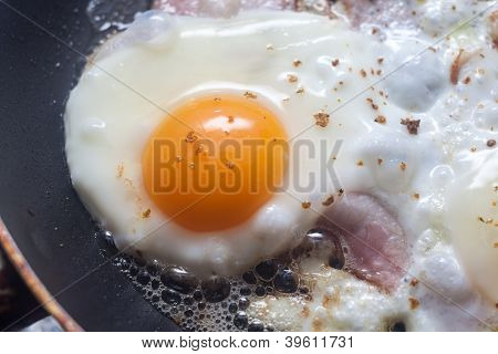 ไข่ทอด