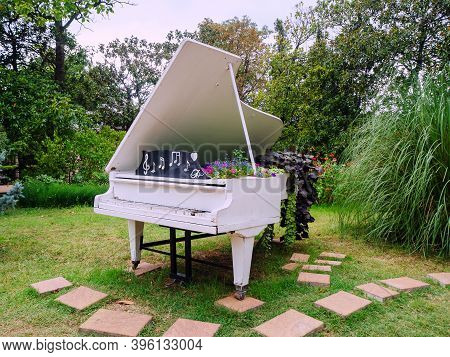 Decorative White Grand Piano Decorated With Flowers Stands In The Park Among Green Plants Abd Trees