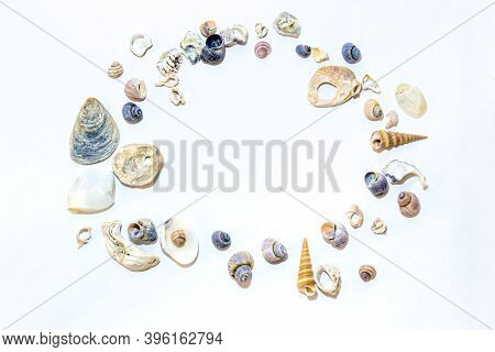 Сircle Of Small Marine Colored Orange Blue Pink Purple River Shells Of Different Sizes And Shapes On