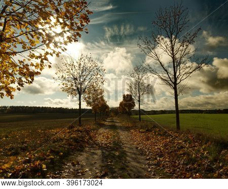 Autumn Vibes At Day With Clouds In Dabelow Mecklenburg-west Pomerania Germany Europe