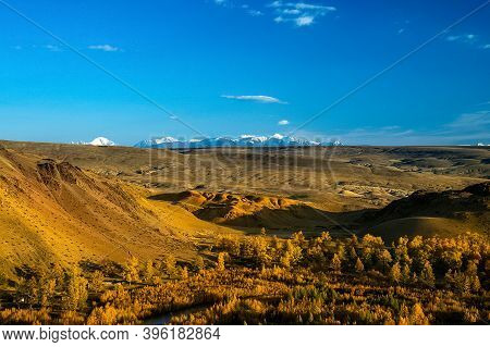 The Altai Mountains. The Landscape Of Nature On The Altai Mountains And In The Gorges Between The Mo