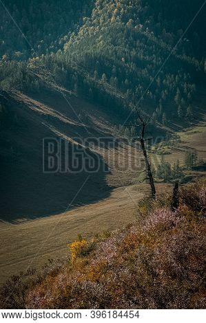 The Altai Mountains. The Landscape Of Nature On The Altai Mountains And In The Gorges Between The Mo