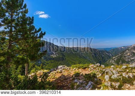 River Tara canyon - Montenegro - nature travel background