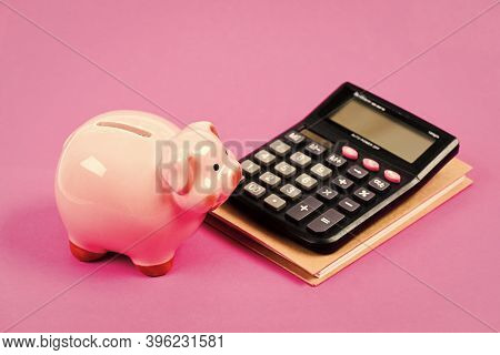 Economics And Finance. Calculate Profit. Piggy Bank Pink Pig And Calculator. Business Administration