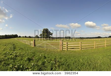 Ragley Hall