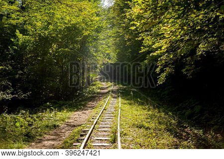 Abandoned Railway In Autumn Mountain Forest With Foliar Trees In Caucasus, Mezmay.