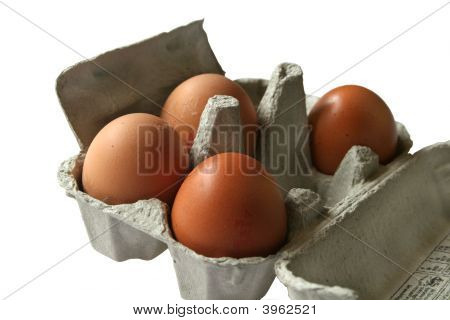 Brązowe jaja w Eggbox