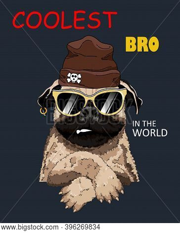 Coolest Bro Slogan With Cartoon Dog. French Bulldog On Dark Background. Print Design. Vector Illustr