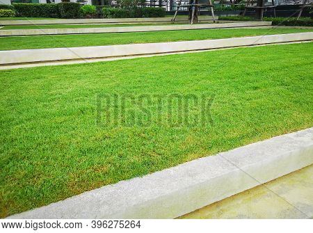 Smooth And Fresh Green Grass Lawn As A Carpet On Grey Curve Border In Garden Backyard, Good Care Mai