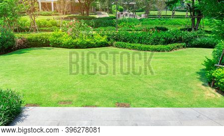 Fresh Green Burmuda Grass Smooth Lawn As A Carpet With Curve Form Of Bush, Trees On The Background, 