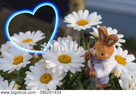 Daisies For Easter With A Little Easter Bunny
