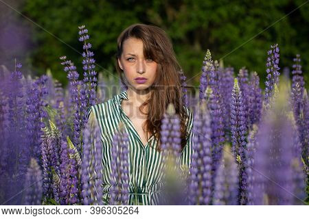 Stylish Thoughtful Girl In Striped Summer Dress Stands On Blooming Meadow In Amidst Lupine, Merging 