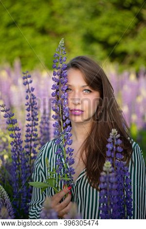 Gorgeous Beautiful Girl Touched Lupin Flower To Her Face Sensually Looking At Camera On Blooming Mea