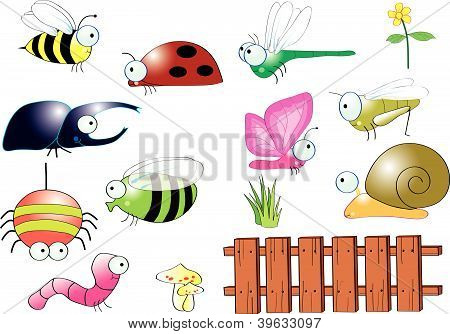 Insects in backyard