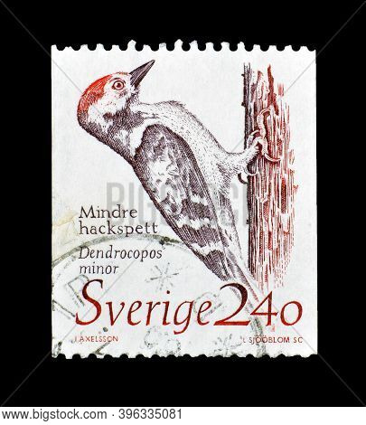 Sweden - Circa 1989 : Cancelled Postage Stamp Printed By Sweden, That Shows Woodpecker, Circa 1989.