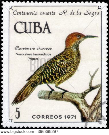 Saint Petersburg, Russia - November 12, 2020: Postage Stamp Issued In The Cuba With The Image Of The