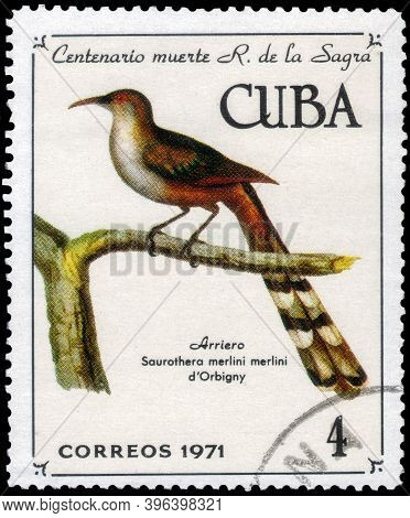 Saint Petersburg, Russia - November 12, 2020: Postage Stamp Issued In The Cuba With The Image Of The