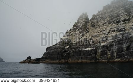 Little Skellig - World's Second Largest Gannet Colony