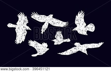 Stock Vector Set Of Soaring Birds Silhouettes With Rough Texture. For Logo And T-shirt Design. White
