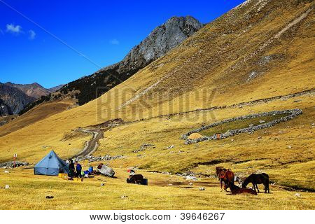 Camping i Cordiliera Huayhuash, Peru, Sydamerika