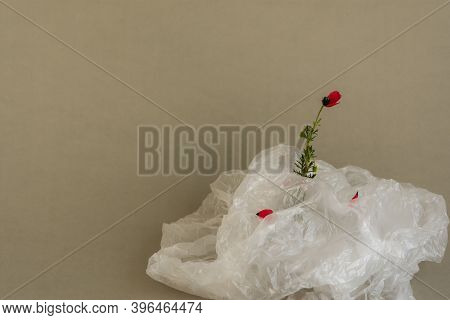 Flower In A Plastic Bag. The Concept Of Environmental Protection. World Environment Day, Recycling O