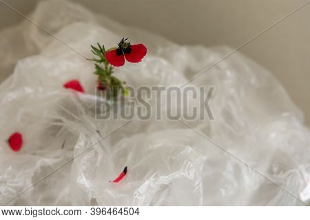 Flower In A Plastic Bag. The Concept Of Environmental Protection. World Environment Day, Recycling O