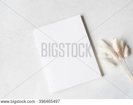 White Magazine Cover Mockup And White Lagurus On Light Grey Background. Top View. Copy Space