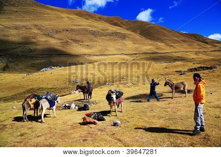 Camping i Cordiliera Huayhuash, Peru, Sydamerika