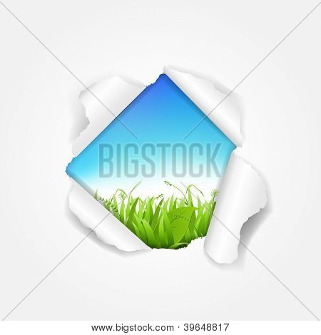 Ciel et herbe déchirée avec filet de dégradé, Illustration vectorielle