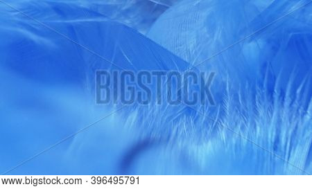 Super Close-up, Details. Blue Fluff In A Neckpiece. Copy Space.