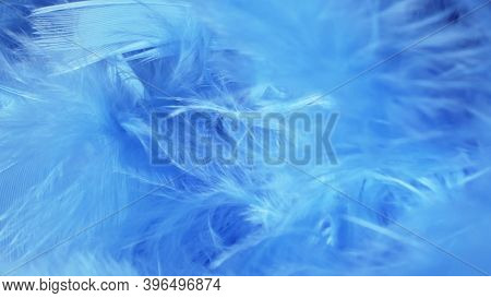 Super Close-up, Details. Blue Fluff In A Neckpiece. Copy Space.