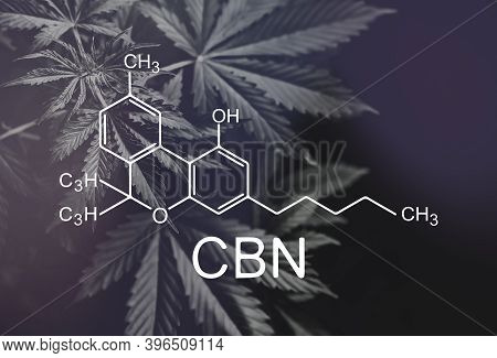 Despancery Business. Hemp Industry, Medical Marijuana, Cbn Formula, Cannabinoid . Growing Marijuana,