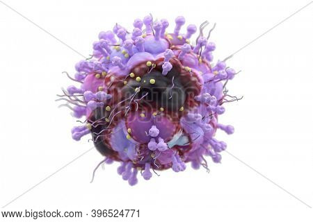 The herpes virus (VZV) causes changes on the skin of the mouth and other parts of the body such as the eyes or skin. 3d illustration 