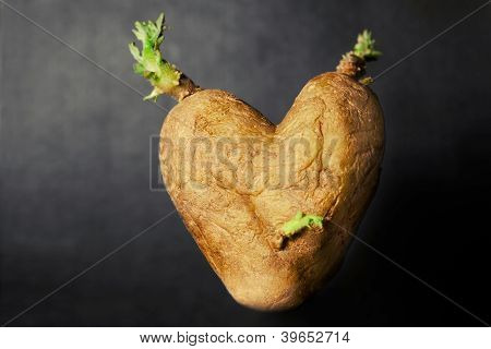 Heart Shaped Potato