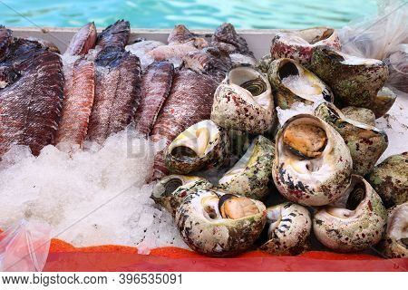 Guadeloupe Fish Market In Pointe A Pitre, Biggest City Of Guadeloupe. Fish And Sea Snails (whelks, C