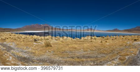 Clear Water, Yellow Grass And Pink Flamingos At Canapa Lake (laguna Cañapa), Bolivia
