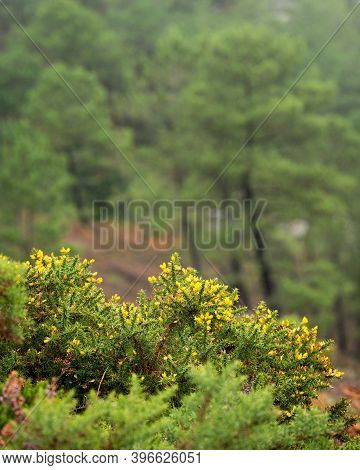 Coast Near Morgat (brittany, France) On A Cloudy Day In Late Summer