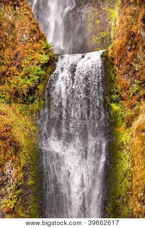 Multnomah Falls vattenfall Columbia River Gorge Oregon Pacific Northwest