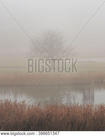 A Dark, Misty And Mysterious Winterscape Scene Tree, Lake