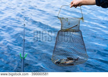 Fish Catch In A Net Box. Fishing Hobby And Leisure. Silent Hunting