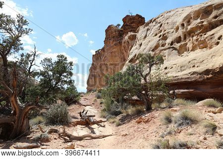 Rockformation In Capitol Reef National Park. Utah. United States