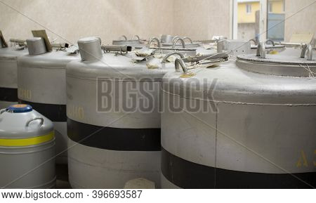 A Can Of Liquid Nitrogen Containing Straws For Fertilizing Cows.
