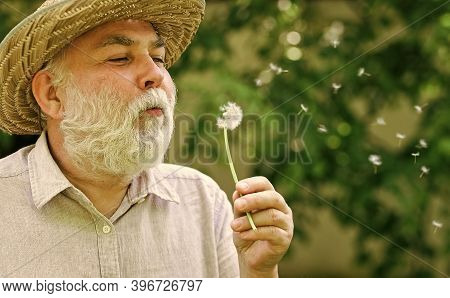 Allergic To Pollen Of Flowers. Cognitive Impairment. Joy During Early Spring. Old Age And Aging. Spr