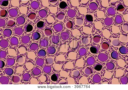 รูปแบบไร้รอยต่อ